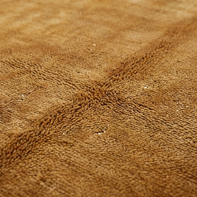 Amber Glint — Macro Detail