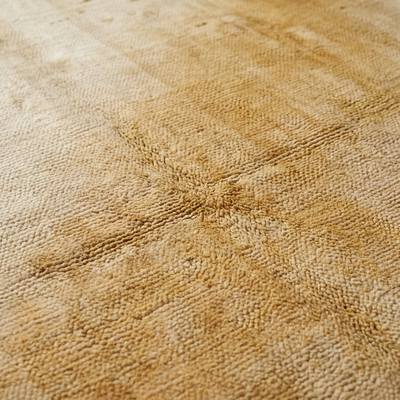 Buttery Field — Macro Detail