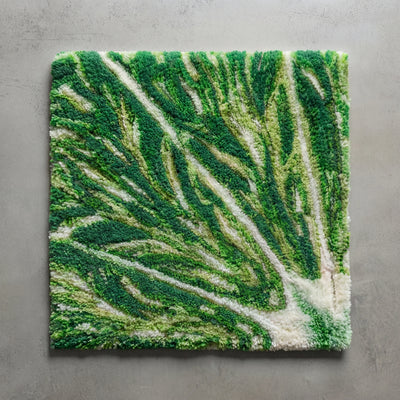 Lime Zest Halo - Sample