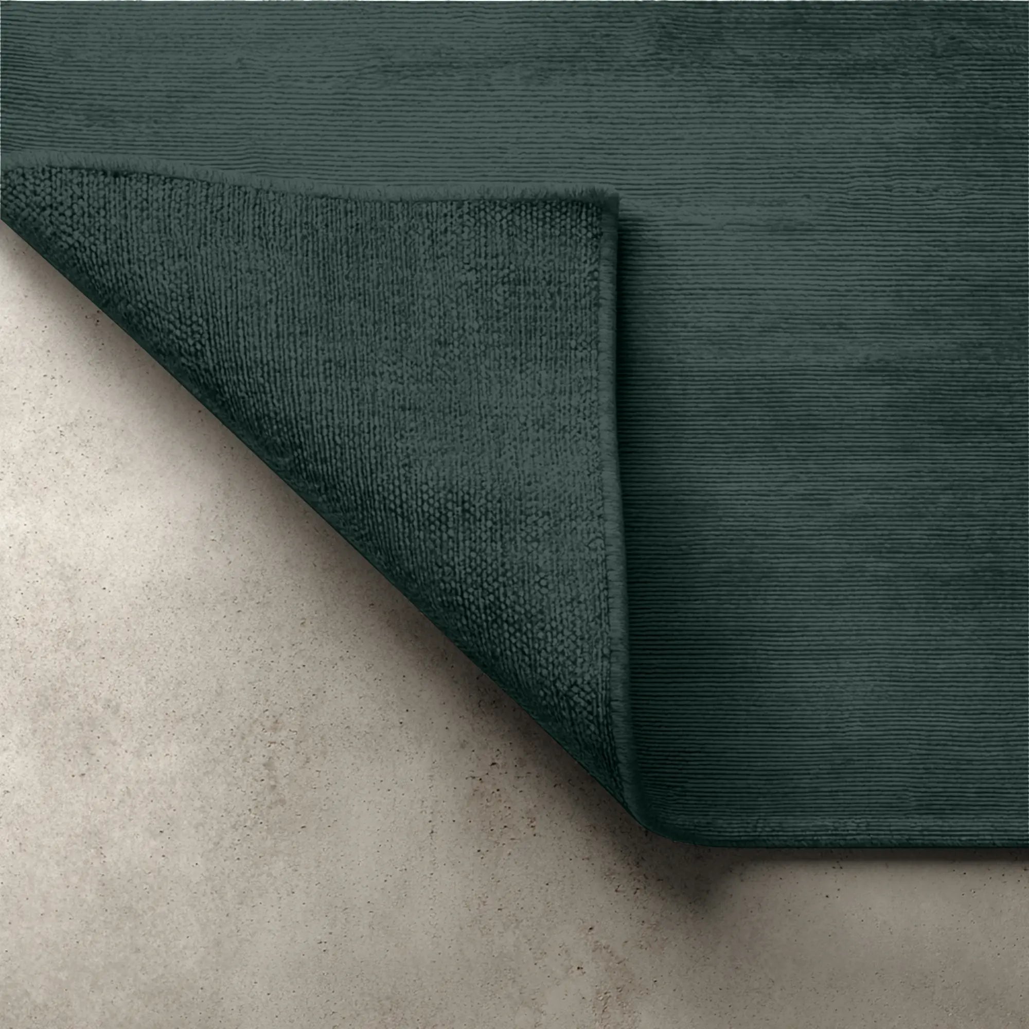 Salamander - Small Sample